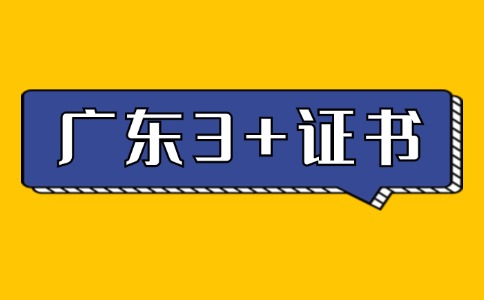 2025年廣東3+證書技能證書目錄